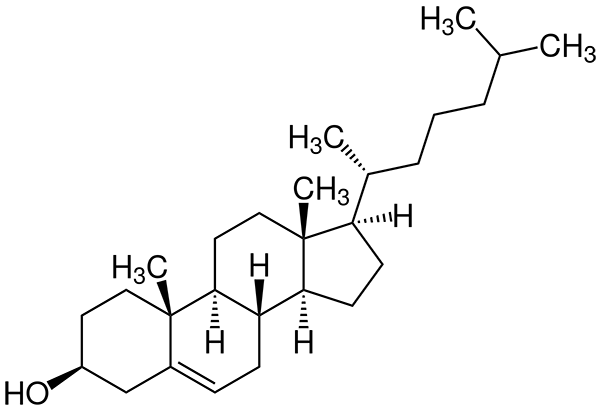 holesterol holesterol