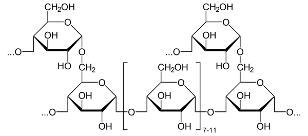 glikogen glikogen
