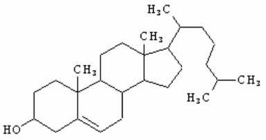 holesterol holesterol