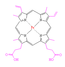 hemoglobin hemoglobin
